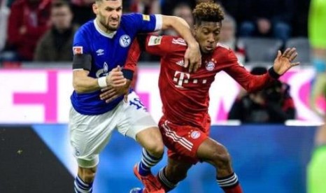  沙尔克零四客场逼平霍芬海姆收获宝贵保级分