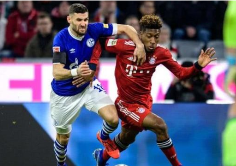  沙尔克零四客场逼平霍芬海姆收获宝贵保级分